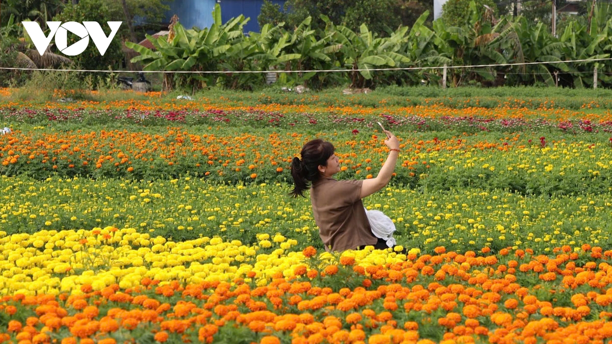 lang hoa giua long thanh pho o binh duong khoe sac hinh anh 6