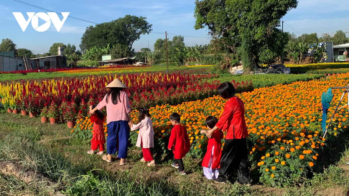 lang hoa giua long thanh pho o binh duong khoe sac hinh anh 7