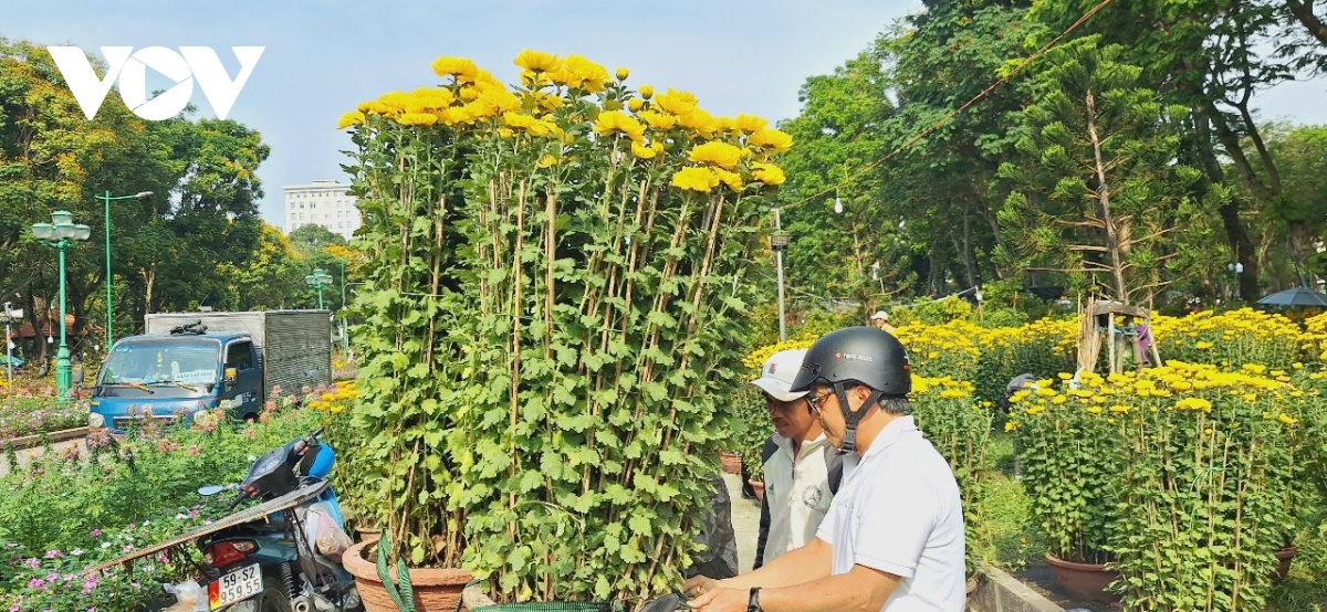 hoa tet o tp.hcm e am, gia re nhung it nguoi mua hinh anh 3