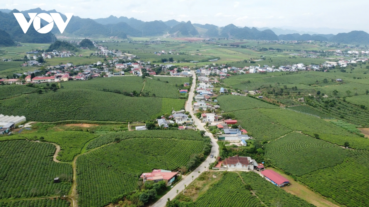 mộc châu trước thềm lên thị xã hình ảnh 3 moc chau truoc them len thi xa hinh anh 3