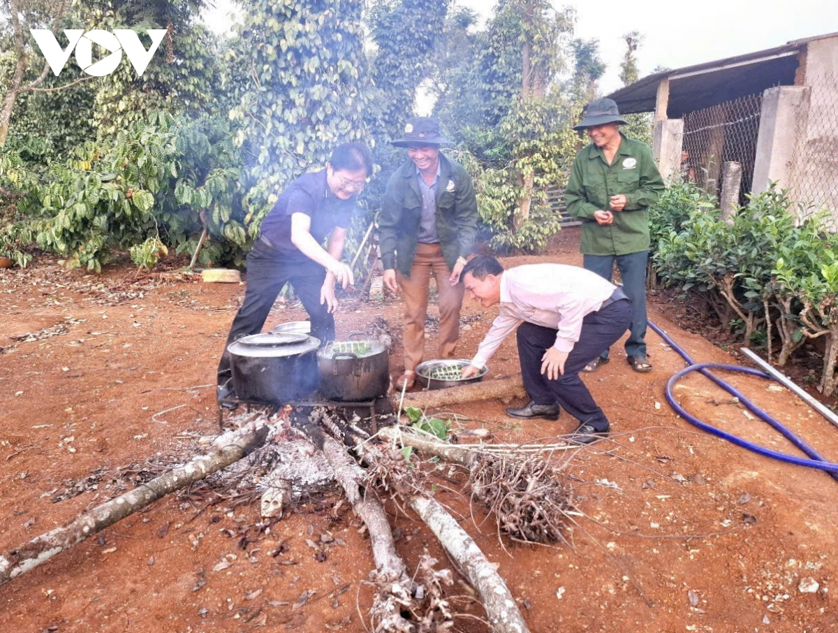 nguoi dan Dak lak phan khoi, vung tin don mua xuan moi hinh anh 3