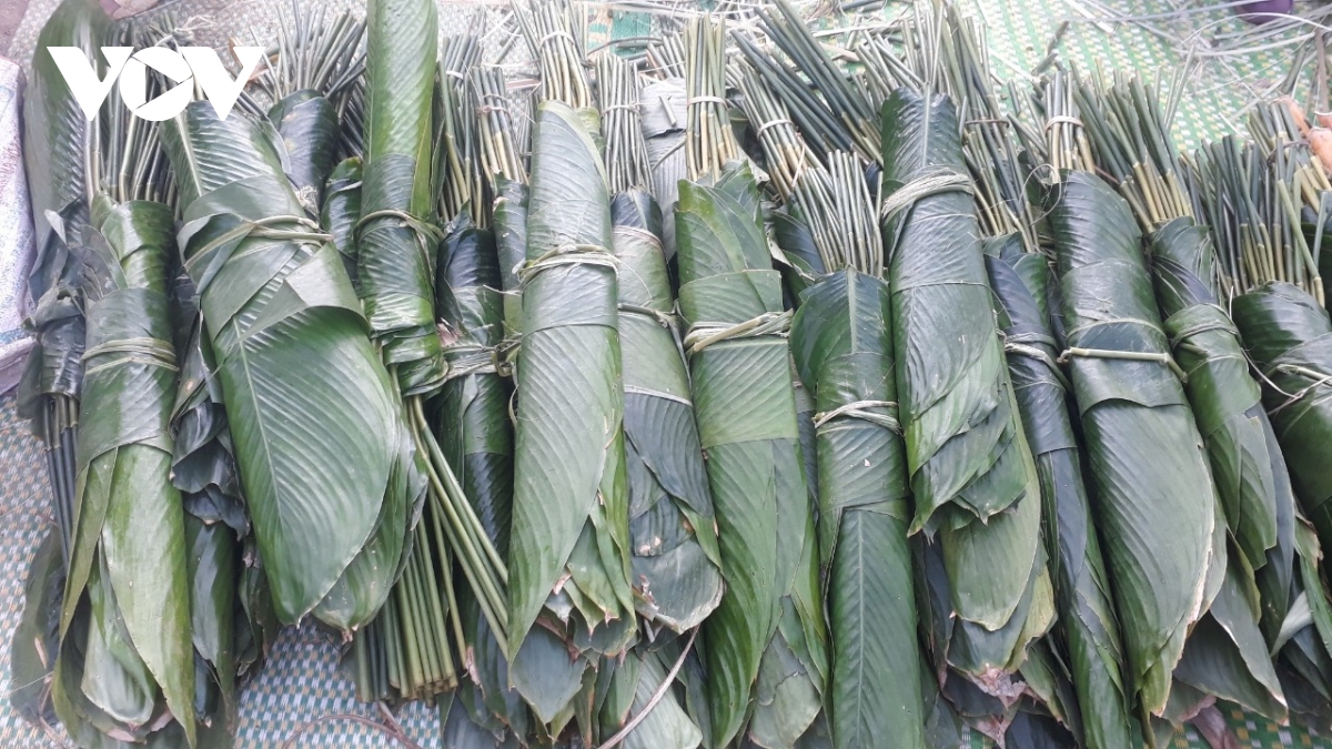 hương sắc ngày tết từ chiếc bánh chưng của người thái hình ảnh 2 huong sac ngay tet tu chiec banh chung cua nguoi thai hinh anh 2