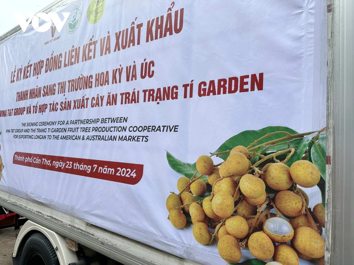 vì sao chưa thể xây dựng thương hiệu trái cây made in vietnam hình ảnh 3 vi sao chua the xay dung thuong hieu trai cay made in vietnam hinh anh 3