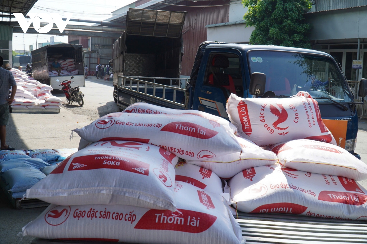 vì sao nhiều doanh nghiệp kinh doanh lúa gạo ở tiền giang xả hàng hình ảnh 3 vi sao nhieu doanh nghiep kinh doanh lua gao o tien giang xa hang hinh anh 3