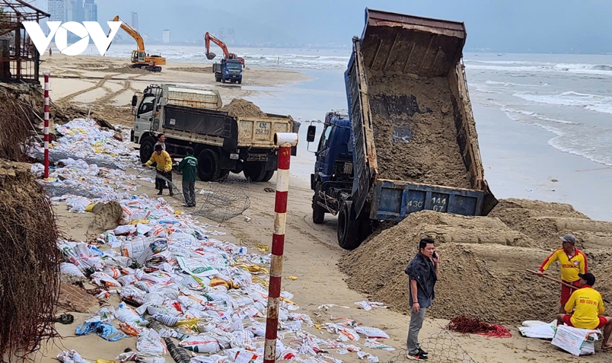 200 người làm rọ đất khắc phục sạt lở kè biển mỹ khê - Đà nẵng hình ảnh 8 200 nguoi lam ro dat khac phuc sat lo ke bien my khe - Da nang hinh anh 8