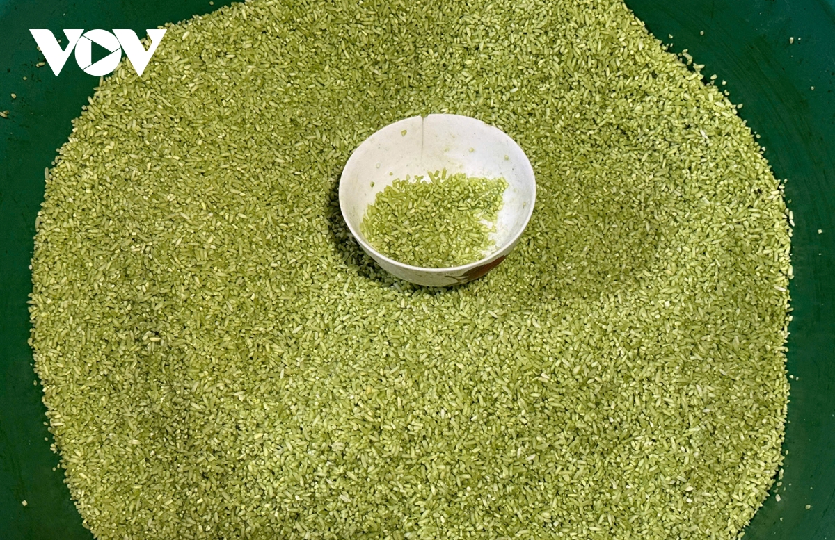 Độc đáo làng bánh tét mặt trăng ở quảng trị hình ảnh 6 Doc dao lang banh tet mat trang o quang tri hinh anh 6