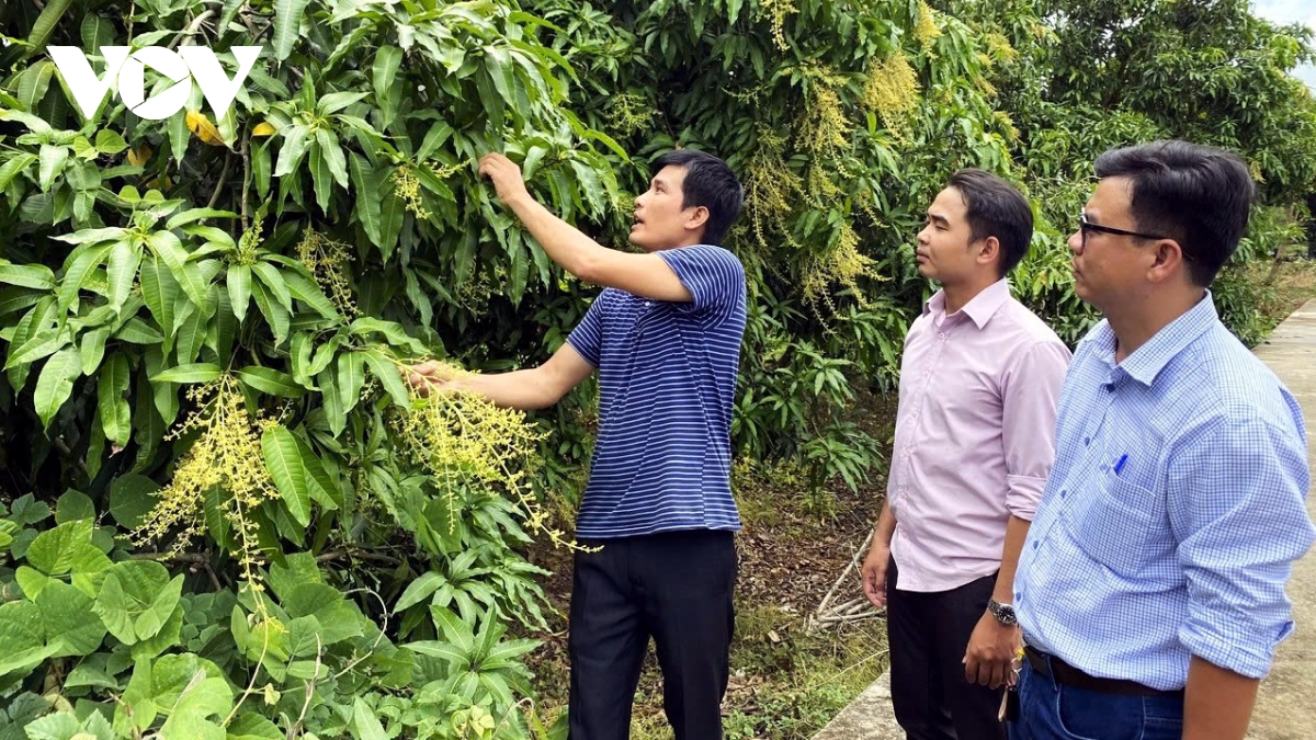 cấu trúc lại ngành hàng nông dân, doanh nghiệp song hành phát triển hình ảnh 4 cau truc lai nganh hang nong dan, doanh nghiep song hanh phat trien hinh anh 4