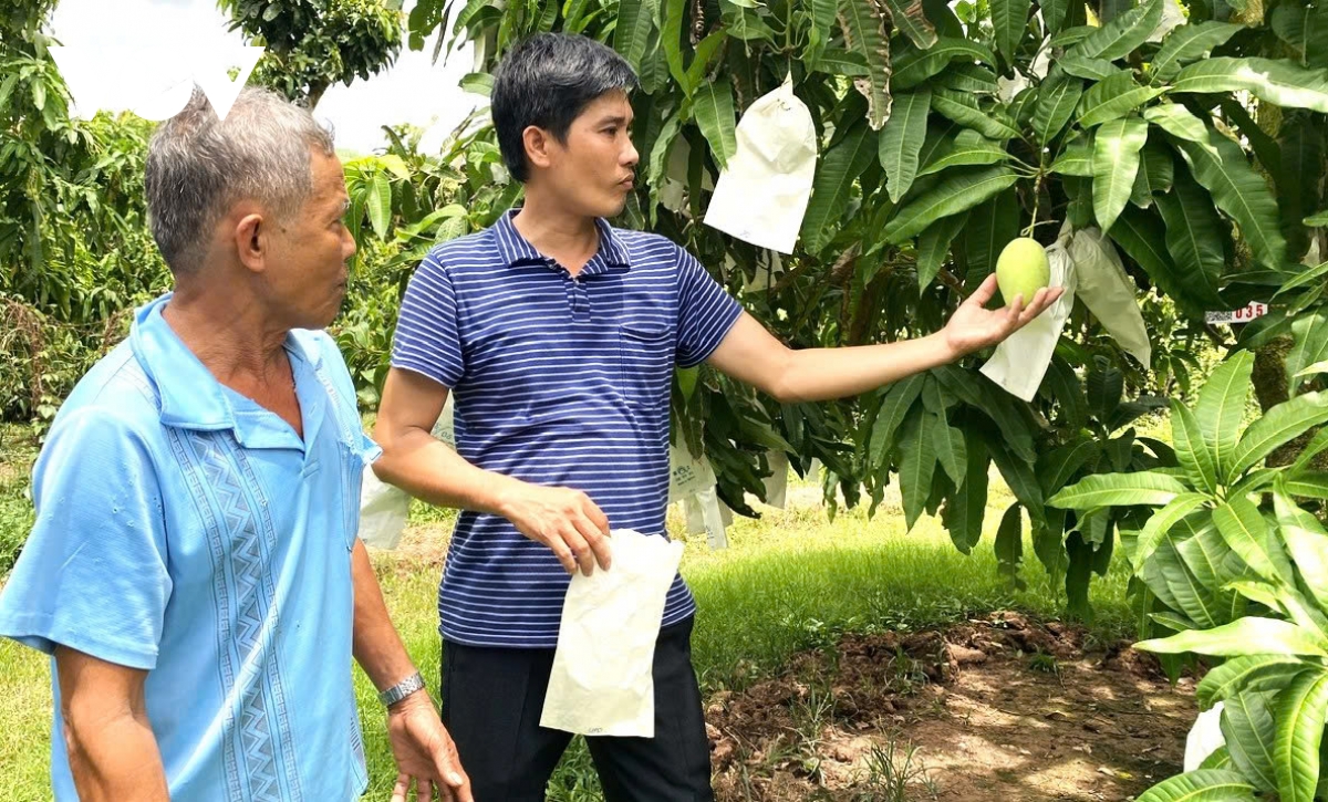cấu trúc lại ngành hàng nông dân, doanh nghiệp song hành phát triển hình ảnh 2 cau truc lai nganh hang nong dan, doanh nghiep song hanh phat trien hinh anh 2