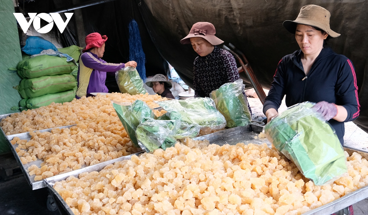 lò nấu đường phèn truyền thống quảng ngãi đỏ lửa dịp tết hình ảnh 8 lo nau duong phen truyen thong quang ngai do lua dip tet hinh anh 8