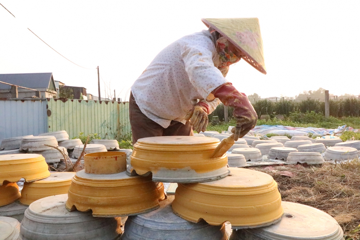 nong dan quang tri thao thuc cung hoa tet hinh anh 2
