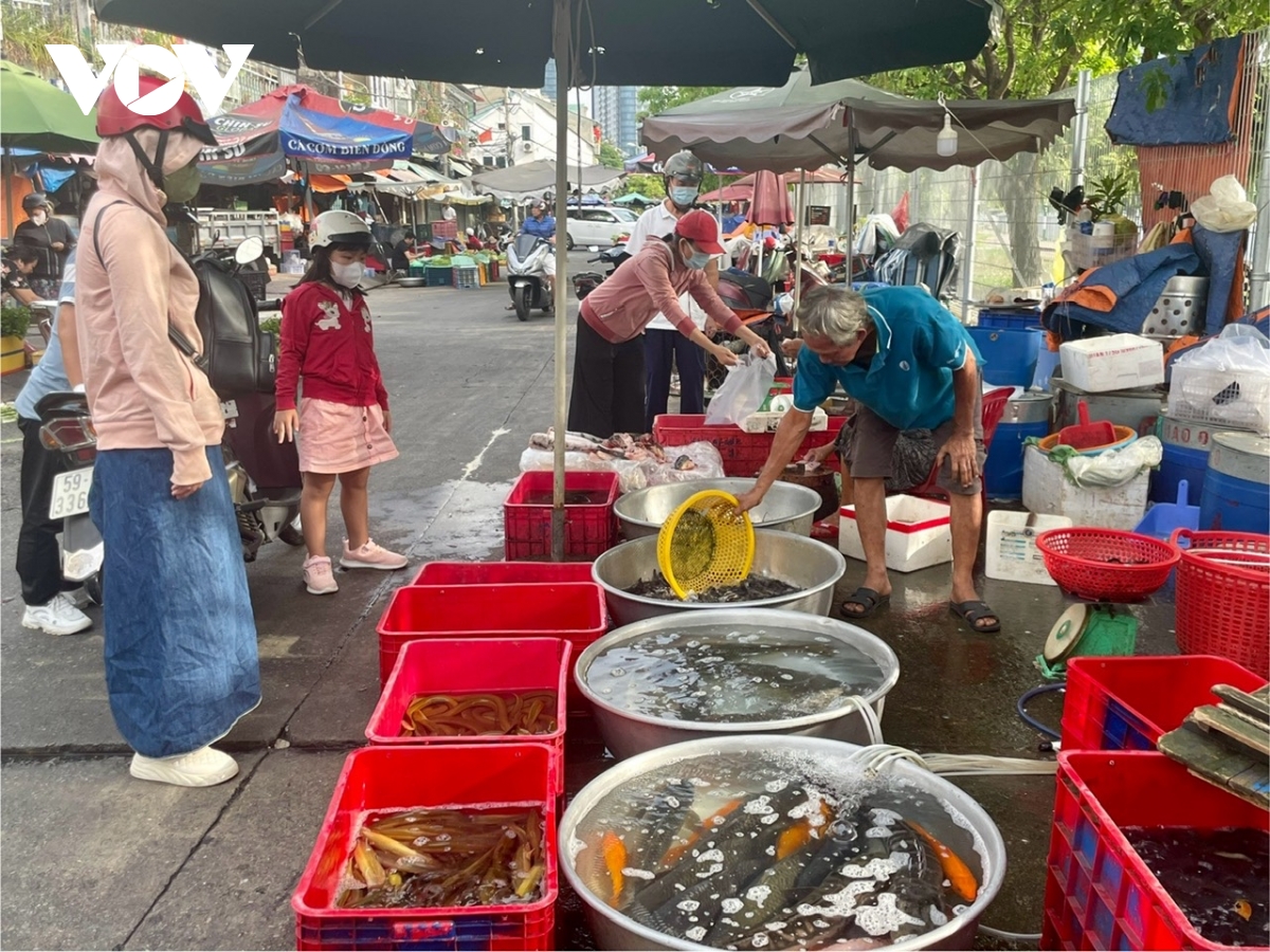 chợ truyền thống ở tphcm đìu hiu khách vào ngày mùng 3 tết hình ảnh 1 cho truyen thong o tphcm diu hiu khach vao ngay mung 3 tet hinh anh 1