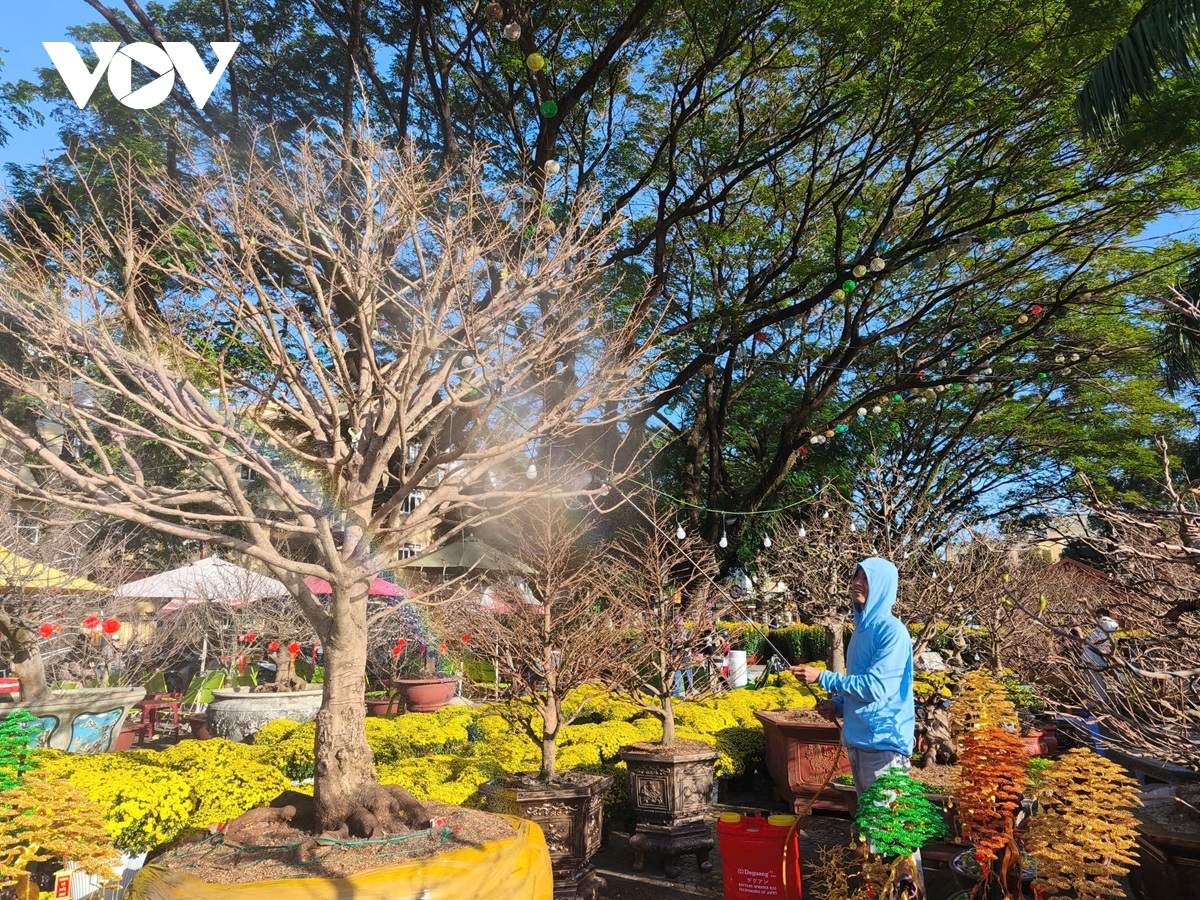 nhon nhip thi truong hoa tet tai thu phu tay nguyen hinh anh 2