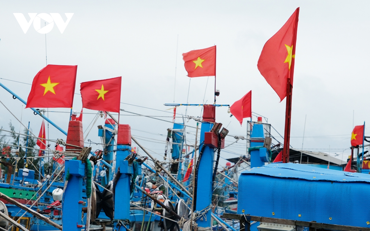nhung ngu dan can truong tren vung bien truong sa hinh anh 2 nhung ngu dan can truong tren vung bien truong sa hinh anh 2