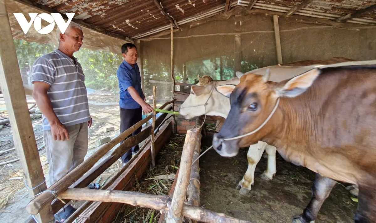 Đồng bào khmer sóc trăng chung vui đón tết hình ảnh 1 Dong bao khmer soc trang chung vui don tet hinh anh 1