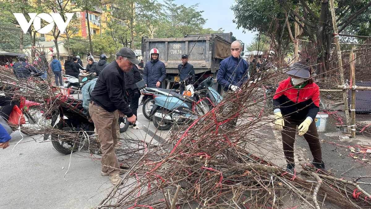 Dao rung o ha noi e am chat dong thanh cui cuoi chieu 29 tet hinh anh 7