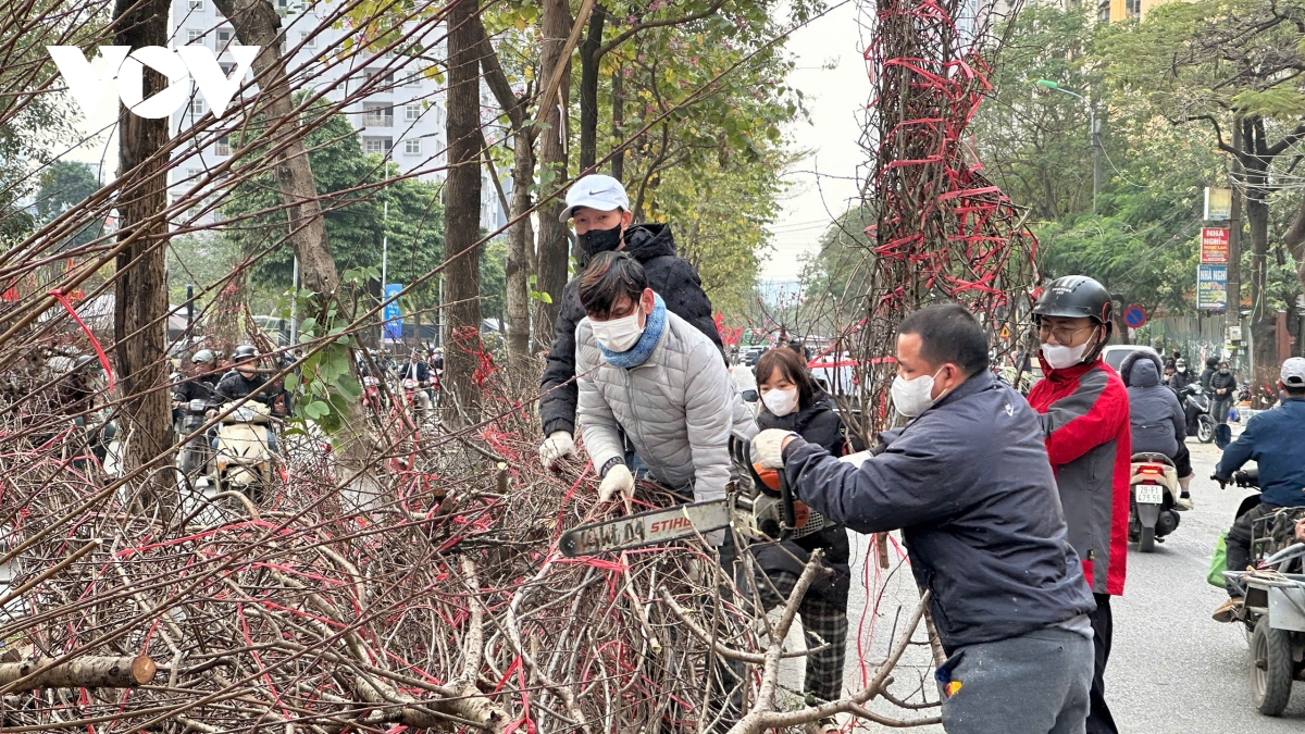 Dao rung o ha noi e am chat dong thanh cui cuoi chieu 29 tet hinh anh 4