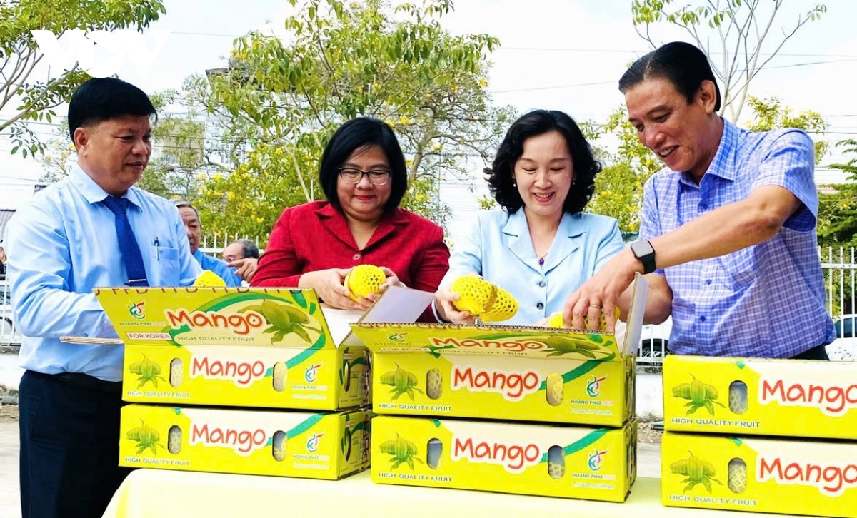 Vì sao chưa thể xây dựng thương hiệu trái cây “Made in Vietnam”