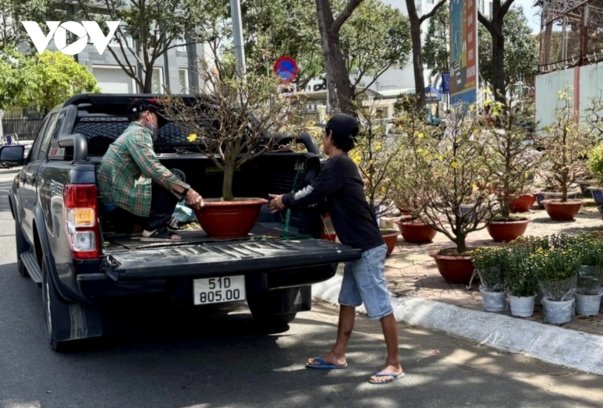 trua 29 tet, thi truong cay kieng o vung tau van nhon nhip hinh anh 8