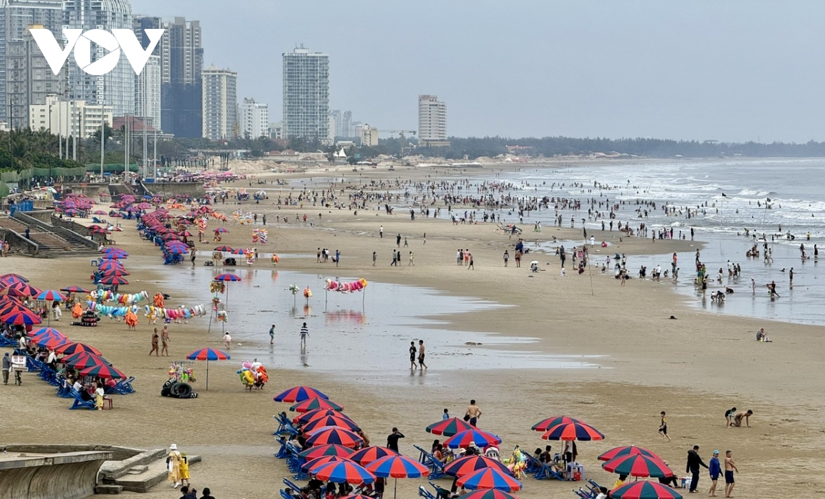 mung 2 tet, nguoi dan, du khach keo ve hoi hoa xuan vung tau hinh anh 4