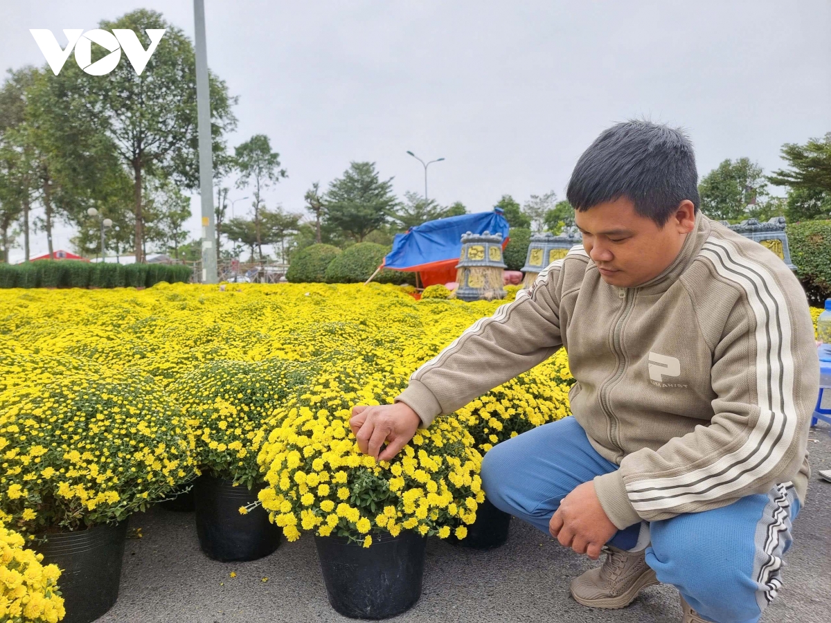 thi truong hoa, cay canh tet o bac ninh thap thom ngong khach hinh anh 3