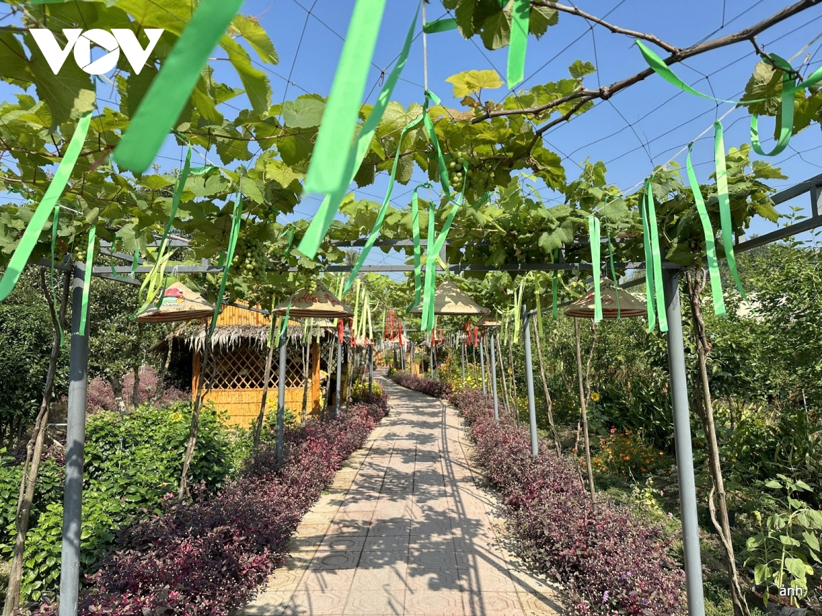 quảng bá hình ảnh việt nam thông qua hội nghị liên minh nghị viện pháp ngữ hình ảnh 3 quang ba hinh anh viet nam thong qua hoi nghi lien minh nghi vien phap ngu hinh anh 3