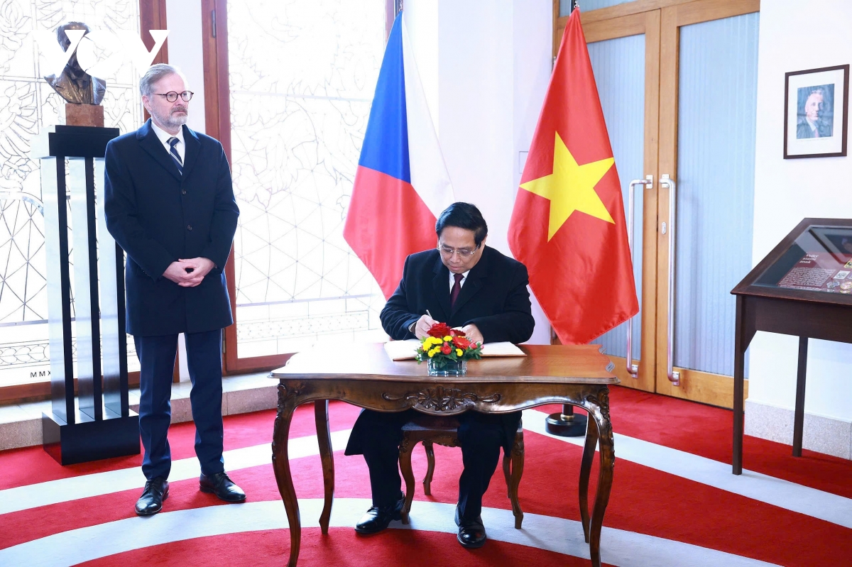 nang cap quan he viet nam - sec len Doi tac chien luoc hinh anh 3
