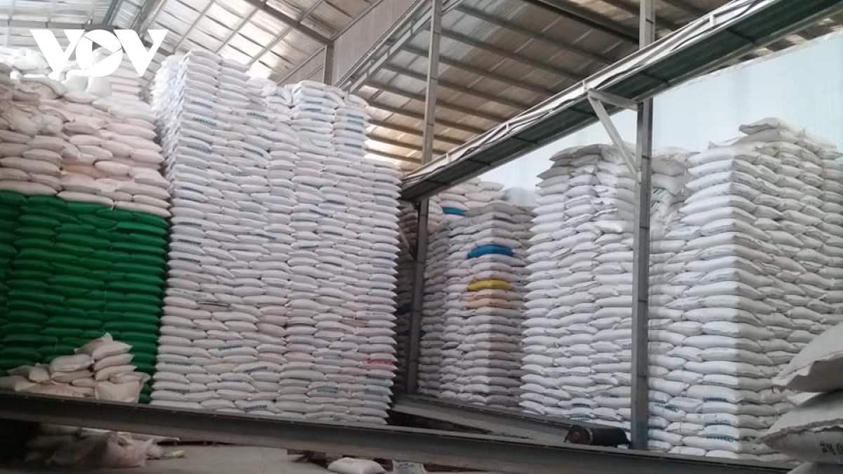 vì sao nhiều doanh nghiệp kinh doanh lúa gạo ở tiền giang xả hàng hình ảnh 1 vi sao nhieu doanh nghiep kinh doanh lua gao o tien giang xa hang hinh anh 1