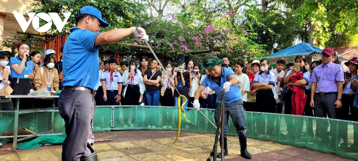 tiền giang, bến tre thu hút đông khách du lịch dịp tết hình ảnh 2 tien giang, ben tre thu hut dong khach du lich dip tet hinh anh 2