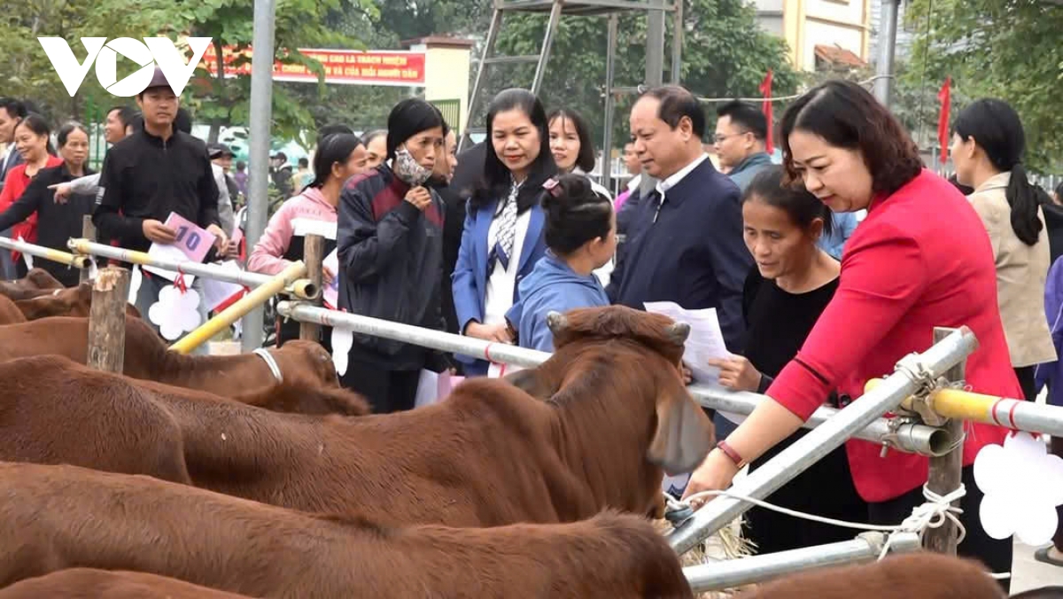 mang mua xuan am ap den voi cac gia dinh kho khan tren dia ban ha noi hinh anh 5