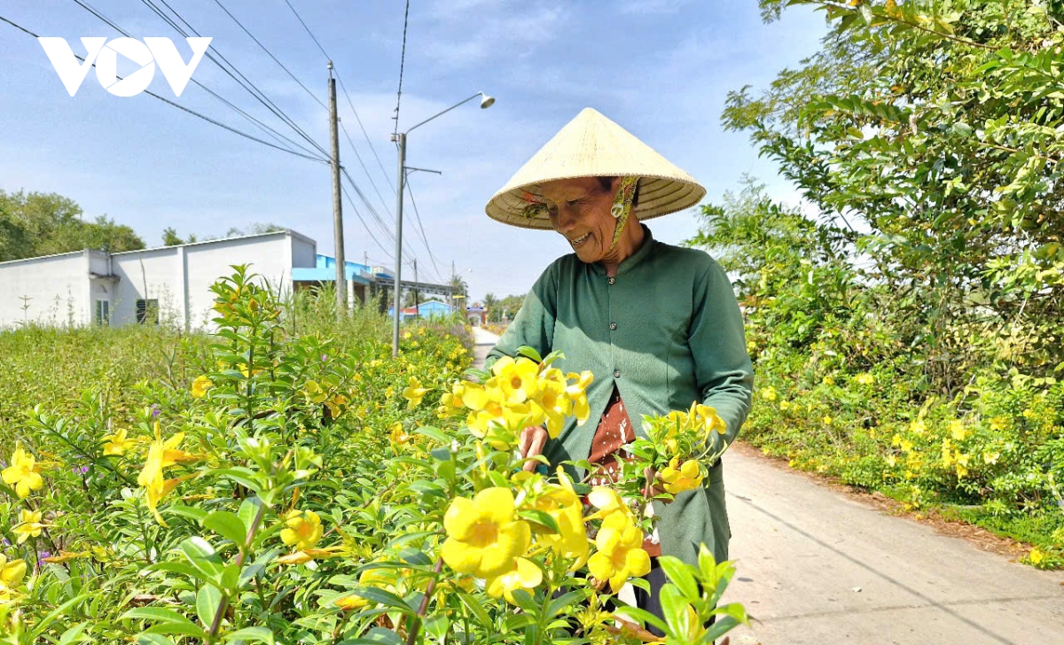 Đồng bào khmer sóc trăng chung vui đón tết hình ảnh 3 Dong bao khmer soc trang chung vui don tet hinh anh 3