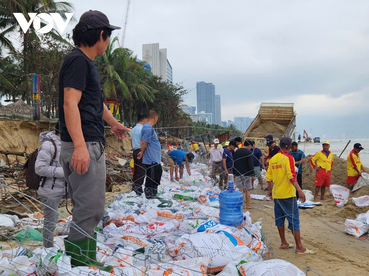 200 người làm rọ đất khắc phục sạt lở kè biển mỹ khê - Đà nẵng hình ảnh 4 200 nguoi lam ro dat khac phuc sat lo ke bien my khe - Da nang hinh anh 4