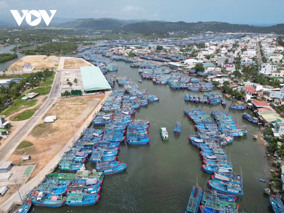 bình Định tập trung chống khai thác iuu trong và sau tết Ất tỵ 2025 hình ảnh 2 binh Dinh tap trung chong khai thac iuu trong va sau tet At ty 2025 hinh anh 2