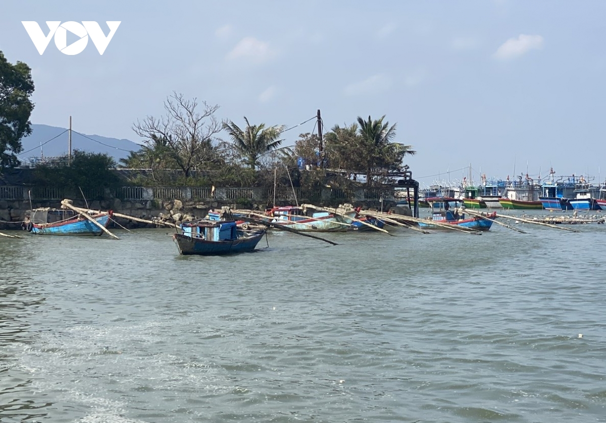 bình Định xử lý tàu cá khai thác thủy sản bất hợp pháp trên đầm Đề gi hình ảnh 1 binh Dinh xu ly tau ca khai thac thuy san bat hop phap tren dam De gi hinh anh 1