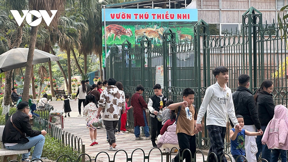 ha ma nhi o vuon thu ha noi hut khach dip tet hinh anh 2