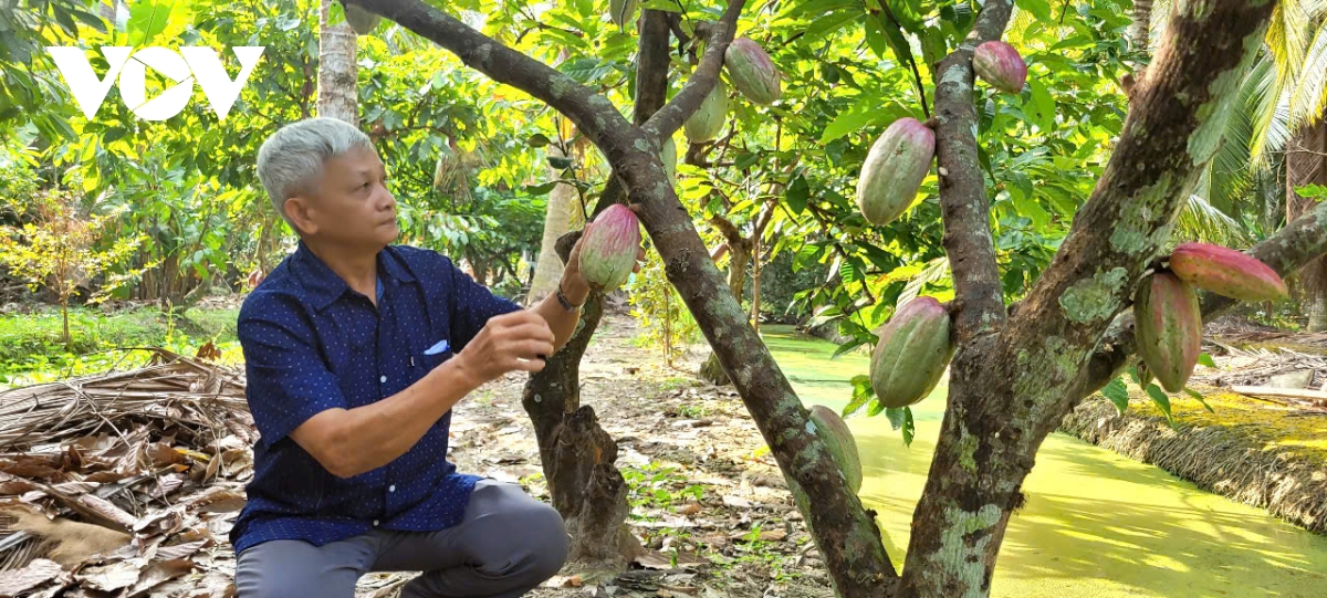 Người đảng viên cao niên ở Tiền Giang hết mình với phong trào