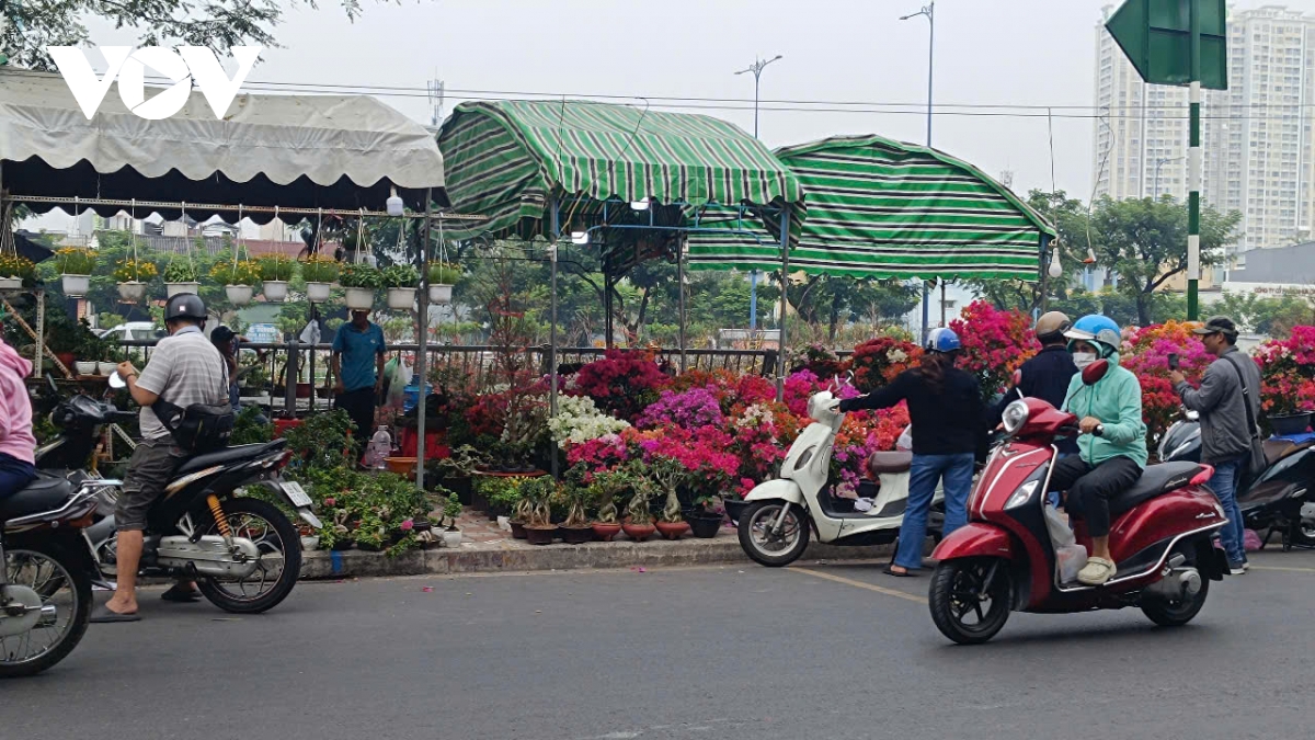 hoa tet xuong pho hinh anh 5