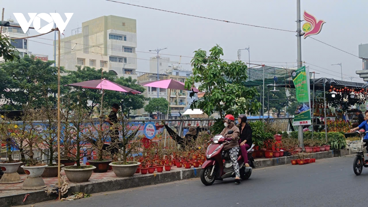 hoa tet xuong pho hinh anh 4