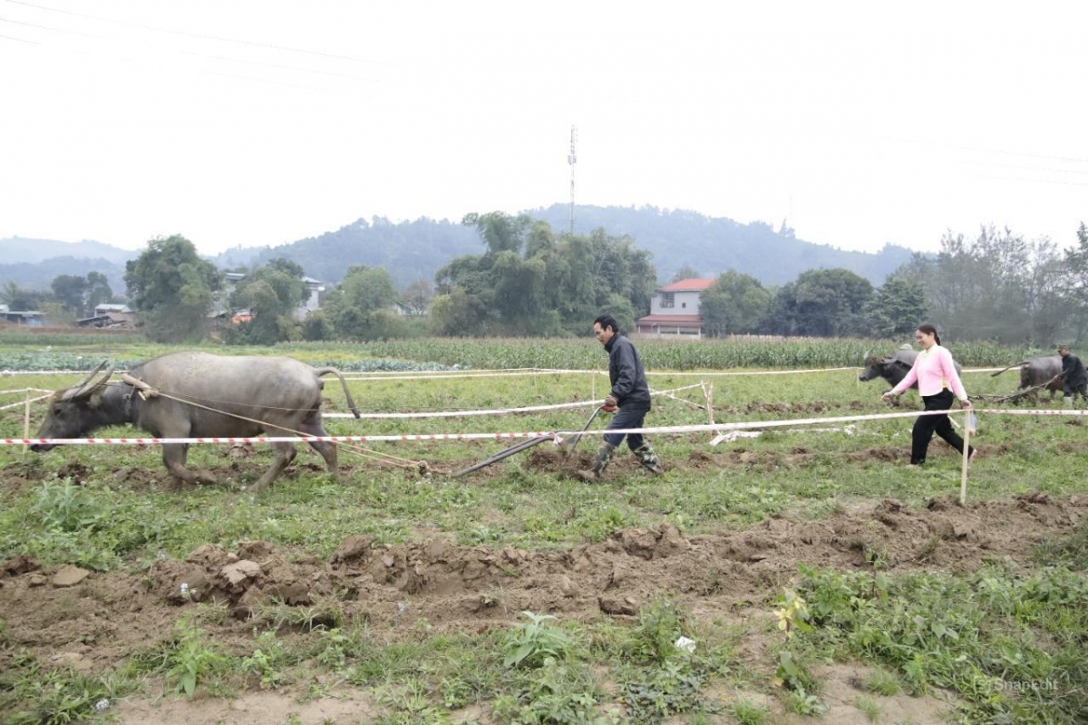 nguoi giay vung lu quang kim mo hoi xuong dong cau mua moi hinh anh 10