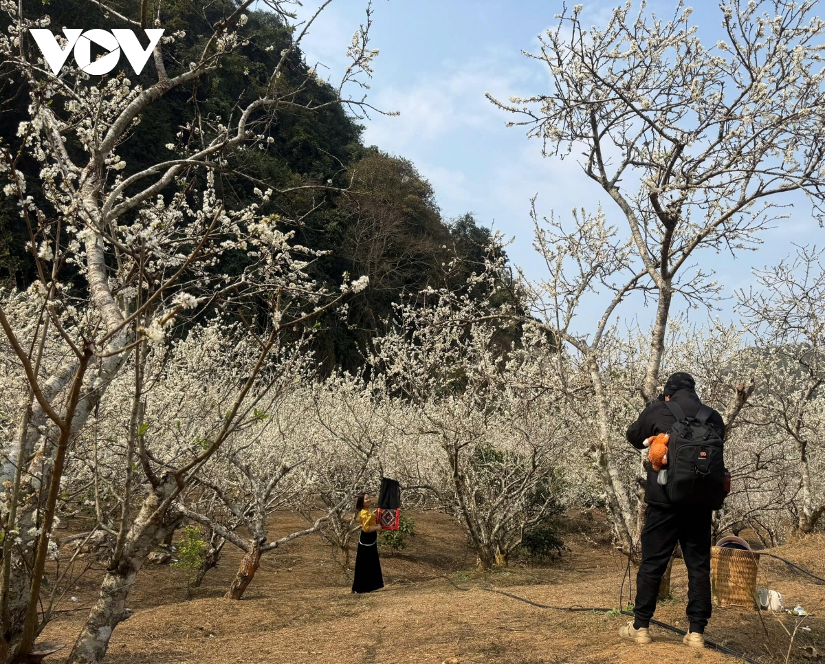 sac man tinh khoi noi mua xuan pho nui hinh anh 10
