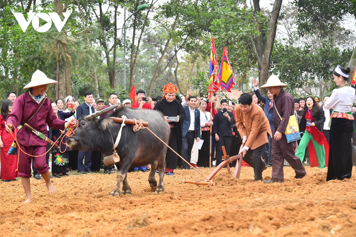 chu tich nuoc luong cuong du ngay hoi sac xuan tren moi mien to quoc hinh anh 9