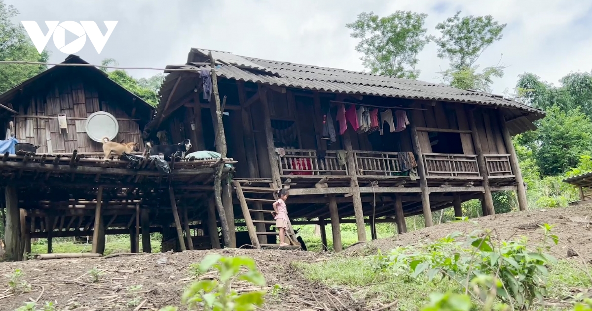 an cu cho hang nghin ho dan mien nui son la hinh anh 1