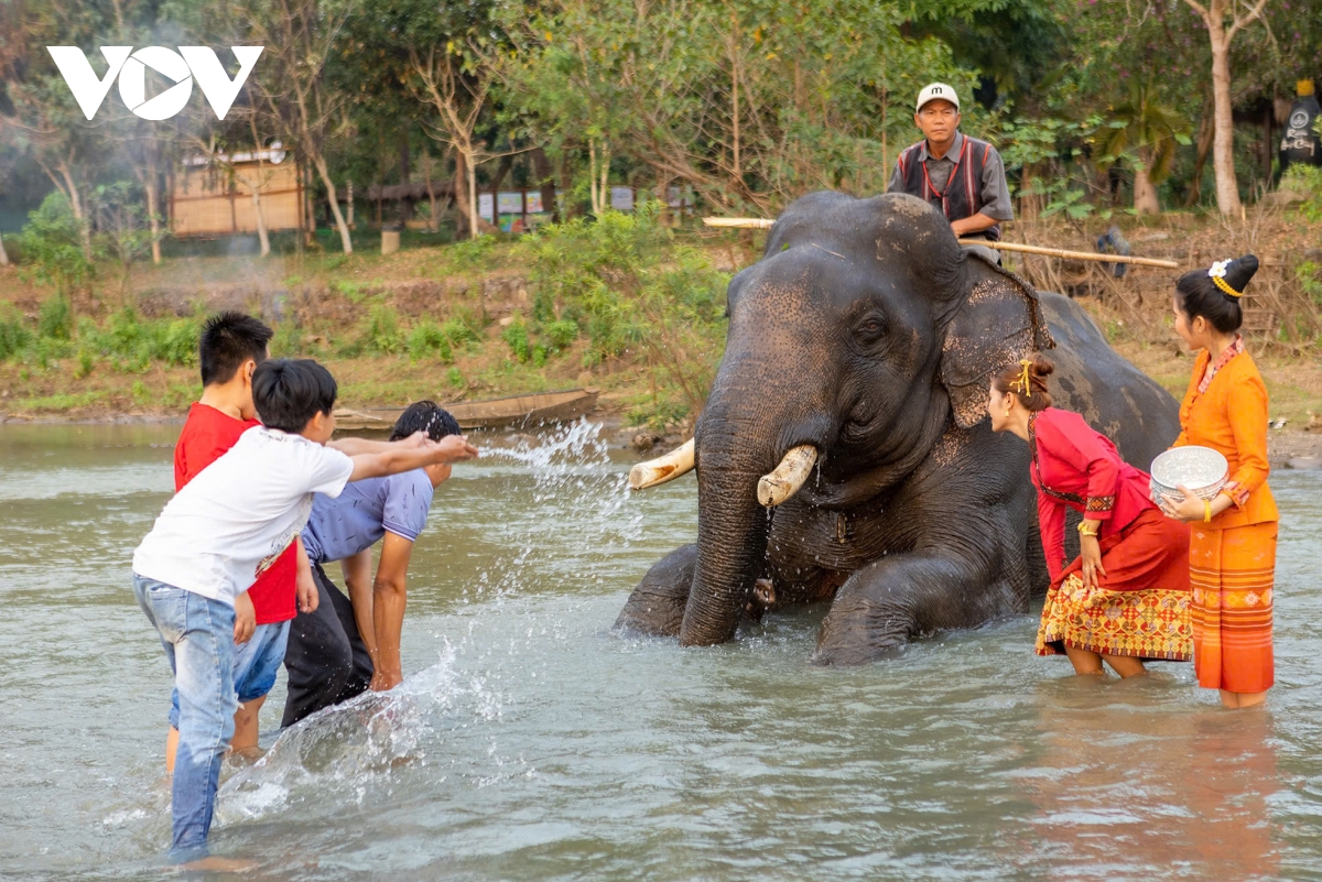 loat tour du lich hap dan trong le hoi ca phe buon ma thuot lan thu 9 hinh anh 1