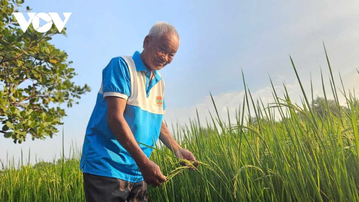 Dau xuan, nong dan binh chanh ke chuyen lam nong nghiep ben vung hinh anh 1