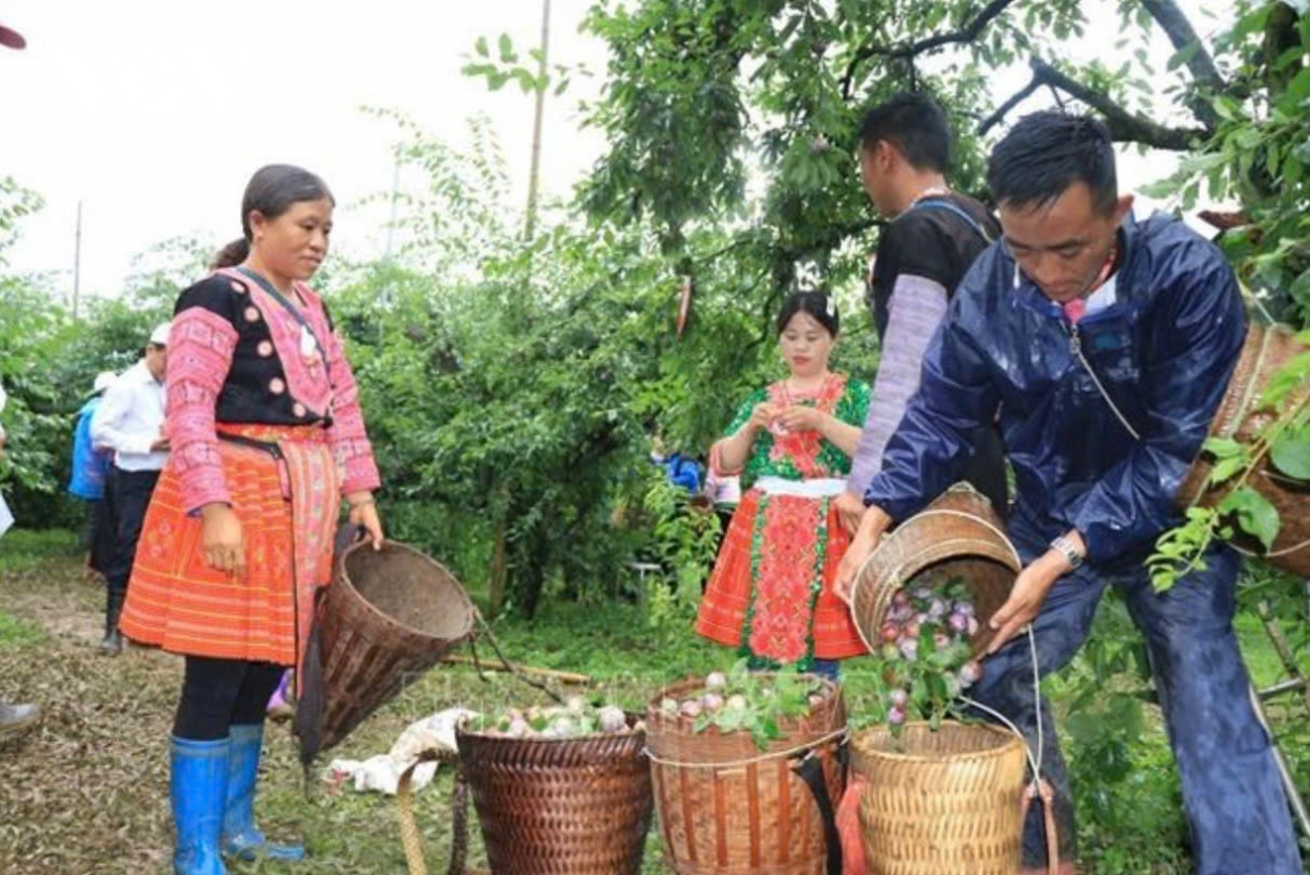 cao toc hoa binh moc chau du kien khoi cong vao thang 7 2025 hinh anh 3