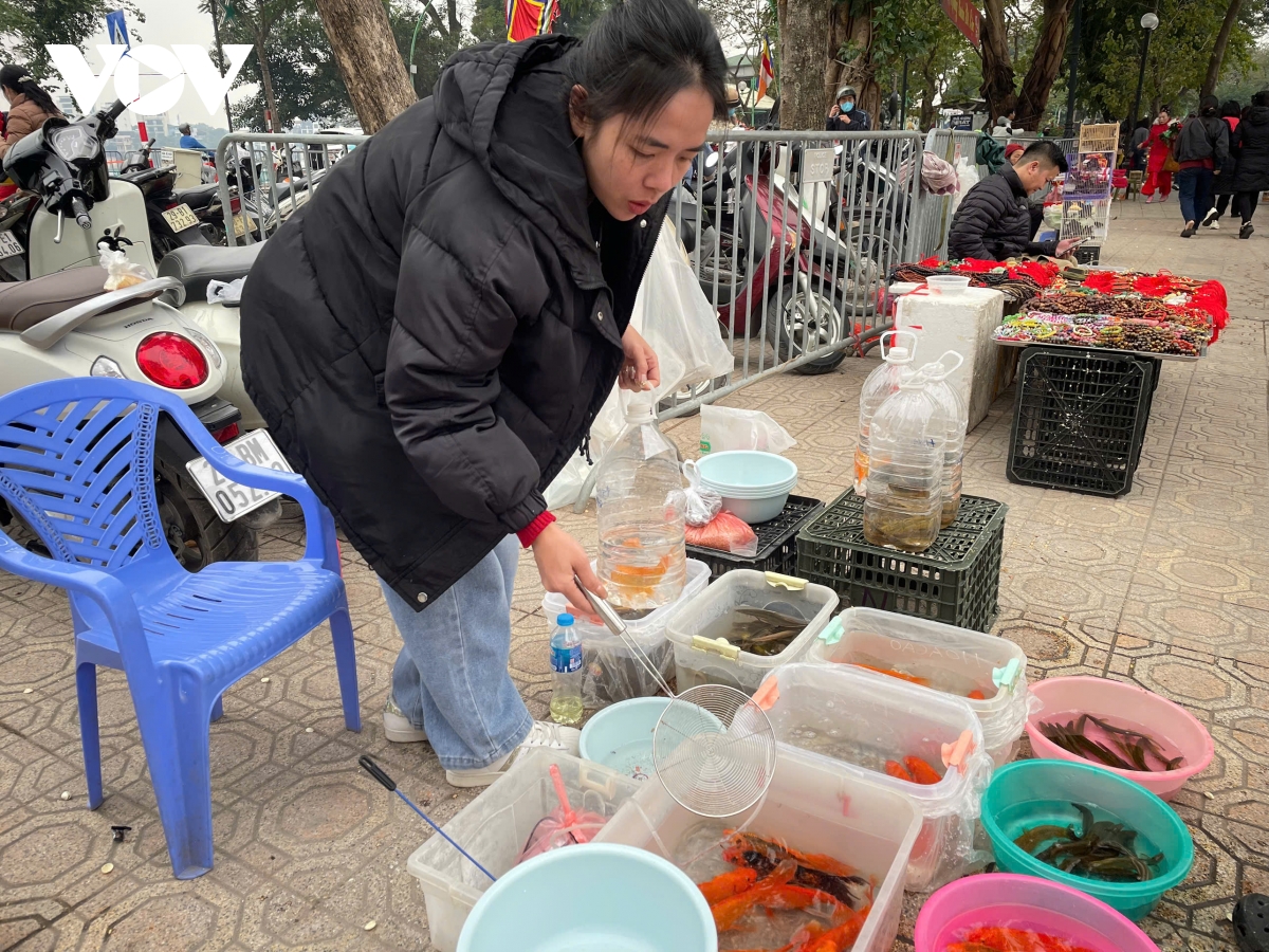 tap nap nguoi di le dip ram thang gieng, e am do phong sinh hinh anh 4