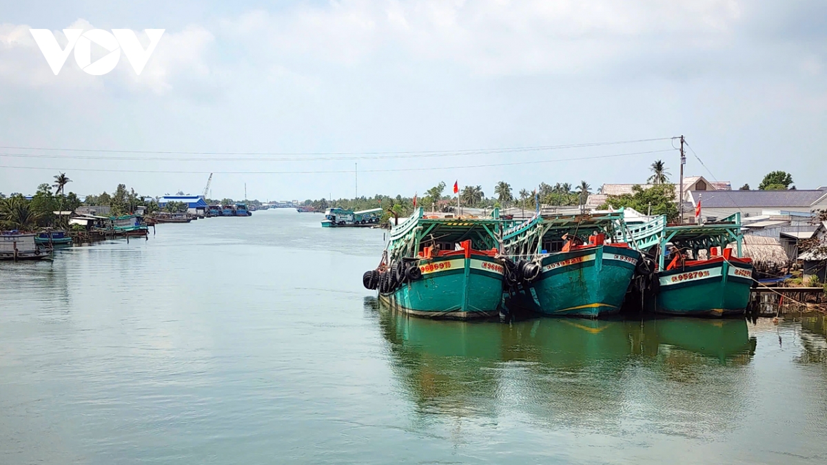 ngư dân cà mau hái lộc từ chuyến biển xuyên tết hình ảnh 2 ngu dan ca mau hai loc tu chuyen bien xuyen tet hinh anh 2