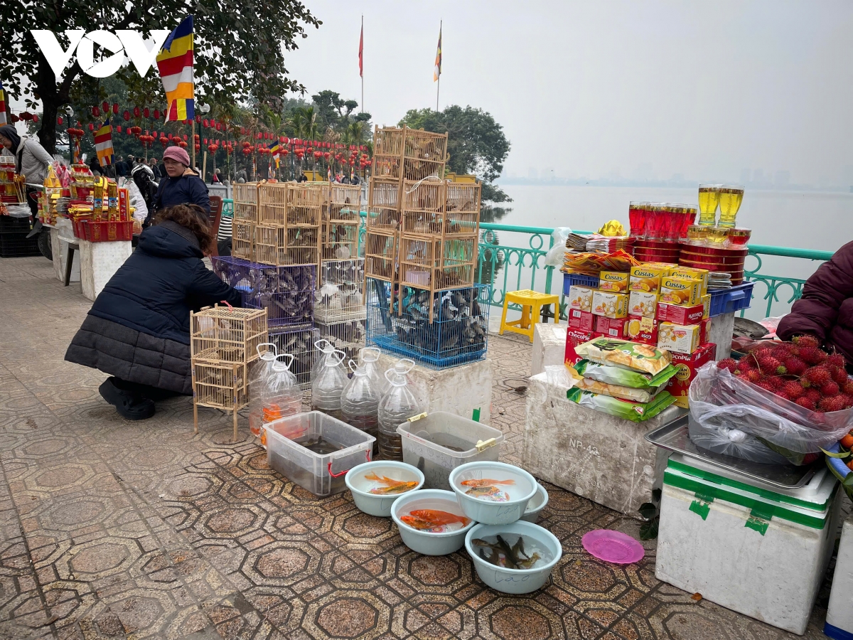 tap nap nguoi di le dip ram thang gieng, e am do phong sinh hinh anh 5