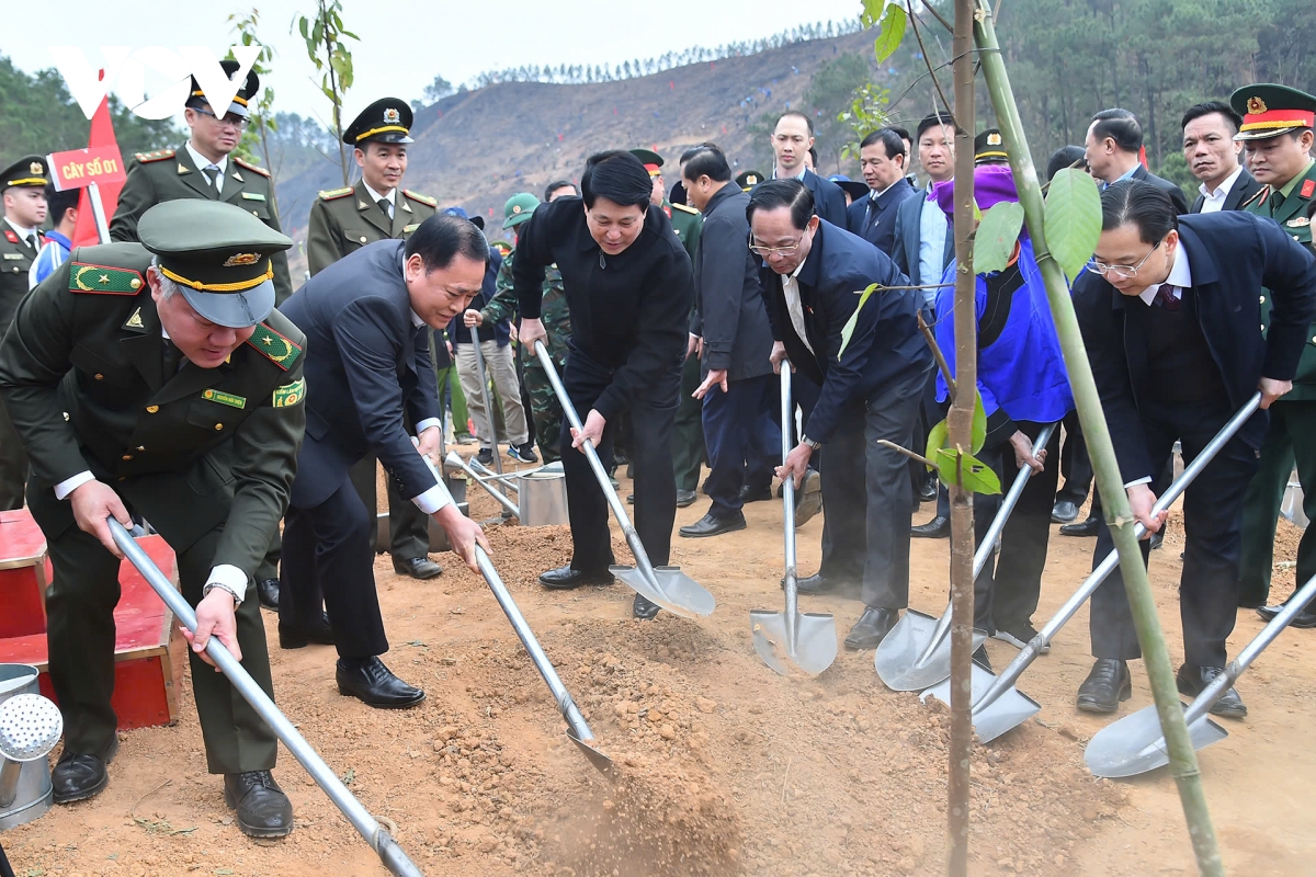  moi cay xanh duoc trong chinh la mot hanh dong yeu thuong gui den thien nhien hinh anh 6