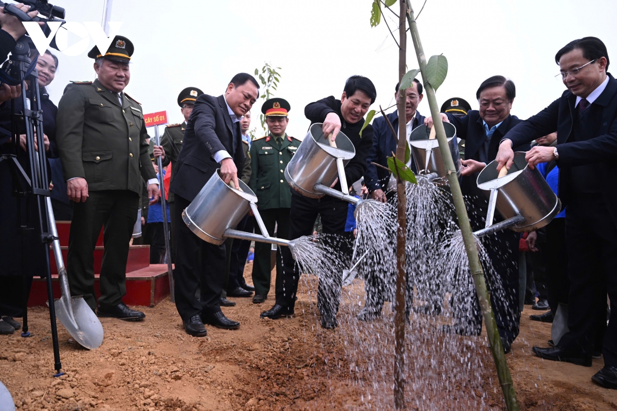  moi cay xanh duoc trong chinh la mot hanh dong yeu thuong gui den thien nhien hinh anh 3