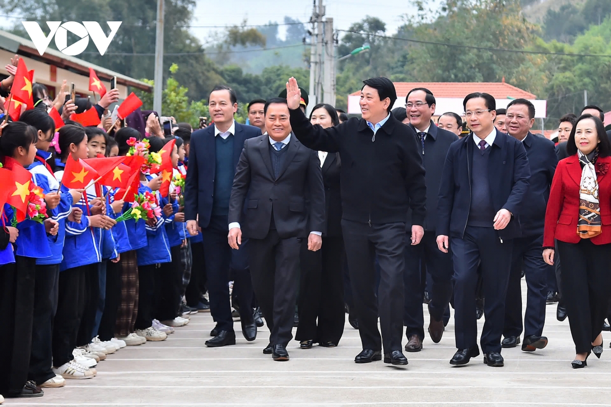  moi cay xanh duoc trong chinh la mot hanh dong yeu thuong gui den thien nhien hinh anh 7